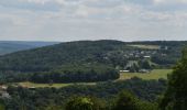 Tour Wandern Pepinster - 20230612 - Cornesse 5.9 Km - Photo 9