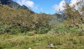 Trail Walking La Possession - marlat parking col des boeufs - Photo 1