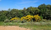 Trail Walking Sainte-Anastasie-sur-Issole - Saint Quinis - Ste Anastasie - Photo 8