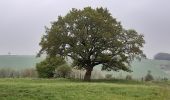 Tocht Stappen Luik - chenee beynes chevremont chenee - Photo 3