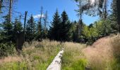 Tour Wandern Plancher-les-Mines - 130722 - La planche des belles - au pieds du Ballons d’Alsaces - Photo 8