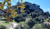 Randonnée Marche La Crau - Fenouillet Hyères - Photo 11