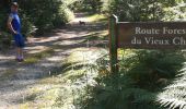 Tocht Stappen Saint-Quirin - lettenbach croix Guillaume vieux château  - Photo 14