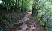 Trail On foot Allèves - Montée Romaine - Photo 9