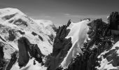 Randonnée Marche Chamonix-Mont-Blanc - Gare de Montenvers - Signal Forbes - Plan de l'Aiguille - Photo 11