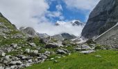 Tour Wandern Pralognan-la-Vanoise - Pralognan, Lac des Vaches par le téléphérique  - Photo 8