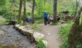 Trail Walking Saint-Chély-d'Aubrac - Aubrac st Come d'olt st Jacques  - Photo 12