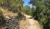 Tocht Stappen Vieussan - Tour de l’Ayrolle au départ de Vieussan. - Photo 3