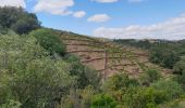 Tocht Stappen Banyuls-sur-Mer - banyuls_ColCerbere_T - Photo 4