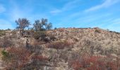 Excursión Senderismo Ille-sur-Têt - puig pedros  - Photo 10