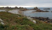 Tour Wandern Plougrescant - Le gouffre, la pointe du château à Plougrescant - Photo 4