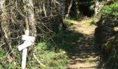 Trail Walking Albussac - Cascades de Murel - Photo 4
