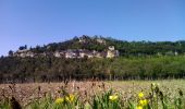 Randonnée Marche Castelnaud-la-Chapelle - Vézac 20,5km - Photo 2