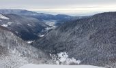Trail Walking Lepuix - Rando raquettes Ballon d'Alsace depuis Saut de la Truite  - Photo 14