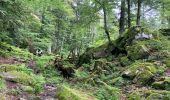 Trail Walking Metzeral - Lac du Schiessrothried - Marcairie du Frankenthal- Retour - Photo 6