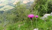 Tour Wandern Saint-Martin-en-Vercors - Pas st Martin - Photo 20