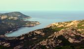 Trail Walking Calvi - Calvi - Capu di a Veta - Croix des autrichiens - Photo 17