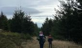 Percorso  Lapoutroie - Le bonhomme col du brezouard - Photo 2