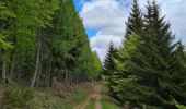 Trail Walking Grendelbruch - Tour du petit Rosskopf & piton du Falkenstein - Photo 17