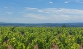 Randonnée Marche Capestang - CC_Piemont_AB_02_Capestang_Bize-Minervois_20240612 - Photo 7