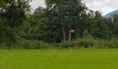 Randonnée Marche Sélestat - Sélestat le Grand Ried - balade dans la forêt de l'II - passerelles - Photo 10