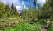 Trail Walking Chimay - rando ornitho lompret 17-04-2024 - Photo 4