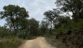 Excursión Senderismo La Londe-les-Maures - Dolmen de Gautabry par le vallon de Tamary - Photo 16