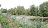 Randonnée Vélo électrique Renaix - Renaix - Berchem - Domaine de Ghellinck - Golf des Ardennes flamandes - Photo 8