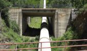 Tour Zu Fuß Biescas - Camino Ribera del Gállego - Photo 1