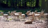 Tocht Te voet Onbekend - Eichenweg - Photo 8