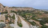 Excursión Senderismo Ħad-Dingli - MALTE 2024 / 01 Dingly's Cliffs - Photo 9