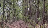 Randonnée Marche Villers-la-Ville - Promenade par les chemins de traverse de Sart-Dames-Avelines - Photo 1