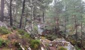 Excursión Senderismo Arbonne-la-Forêt - Forêt de Fontainebleau Tour de la Vierge et Le Hurlevent - Photo 8