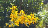 Trail Walking Roquebrune-sur-Argens - La Bouverie - Gorges du Blavet - Grotte du Muéron - Photo 14