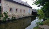 Trail Walking Jouy-sur-Eure - Rando Fontaine sous Jouy du 19 juin 2023 - Photo 4