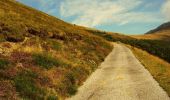 Trail On foot Capriasca - Cattle Trail - Photo 9