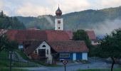 Tour Zu Fuß Birkfeld - Genussrundwanderweg Koglhof - Sallegg - Photo 10