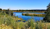 Tour Wandern Weset - La Montagne Saint-Pierre et ses alentours  - Photo 5