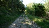 Trail Walking Eygluy-Escoulin - Le Taillefer - Escoulin-18969835 - Photo 14