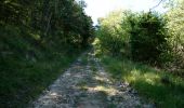 Tour Wandern Eygluy-Escoulin - Le Taillefer - Escoulin-18969835 - Photo 14