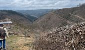 Tour Zu Fuß Weismes - Reinardstein 12 Km - Photo 11