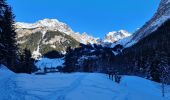Trail Snowshoes Pralognan-la-Vanoise - Pont de Gerlon - Photo 1