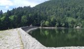 Trail Walking La Bresse - Le Hohneck et ses lacs d'altitude - Photo 15