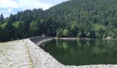 Randonnée Marche La Bresse - Le Hohneck et ses lacs d'altitude - Photo 15