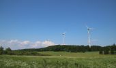 Tour Zu Fuß Bad Endbach - Wanderweg E12 / Bottenhorner Heide - Photo 3