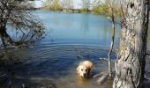 Tour Wandern Grane - De Val Brian au lac sans nom - Photo 2