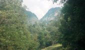 Percorso A piedi Sconosciuto - Polovragi - Crucea Lui Ursache - Luncile Oltețului - Photo 1