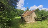 Tour Wandern Meix-devant-Virton - rando gerouville 6-07-2023 - Photo 1