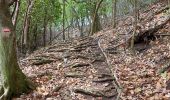 Randonnée Marche La Trinité - Anse Cosmy - Anse Azerot - Photo 8