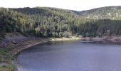 Randonnée Marche Orbey - Tour de lac Noir et du Lac Blanc  - Photo 1